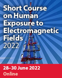 Electromagnetic Fields 2022